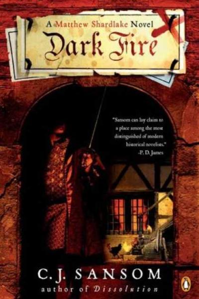 Book cover for Dark Fire